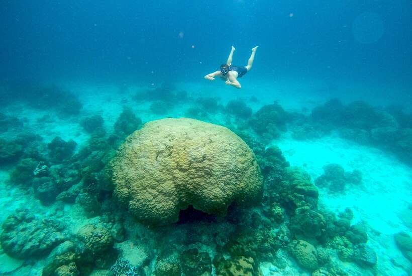 From Koh Lanta: Koh Haa & Koh Rok Snorkel Tour by Speedboat - Koh Rok Yai: lunch, white sand, and free time