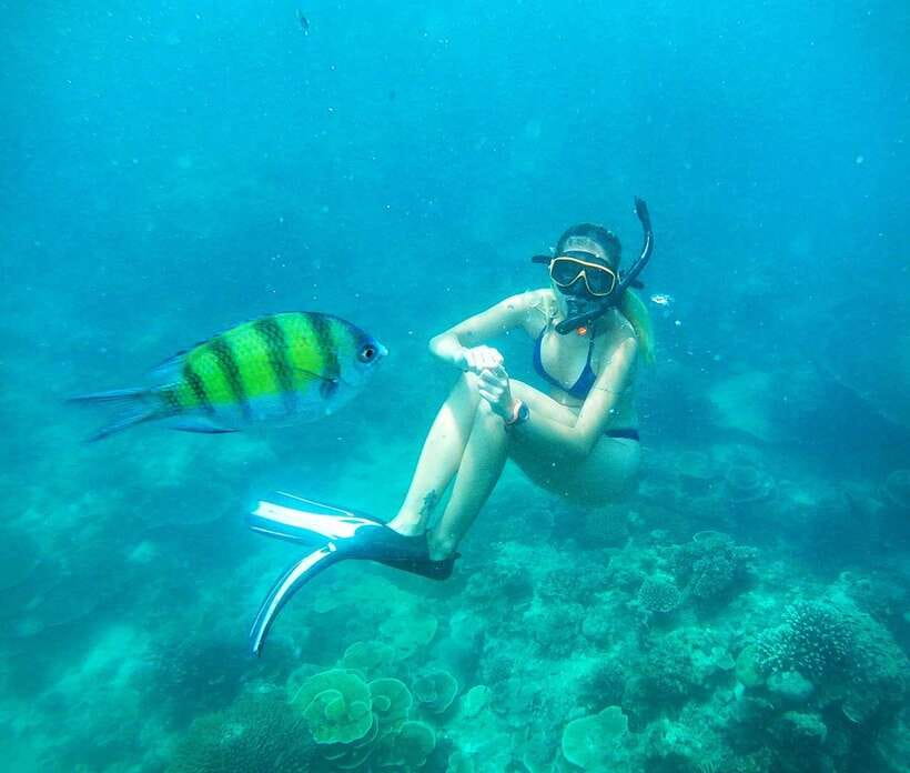 From Koh Lanta: Koh Haa & Koh Rok Snorkel Tour by Speedboat - Group size, guiding, and the level of organization