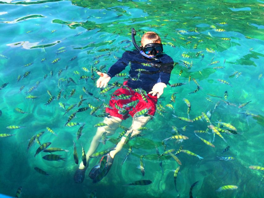 From Krabi: 4 Islands Snorkeling Tour by Speed Boat - Chicken Island and the final coastal views