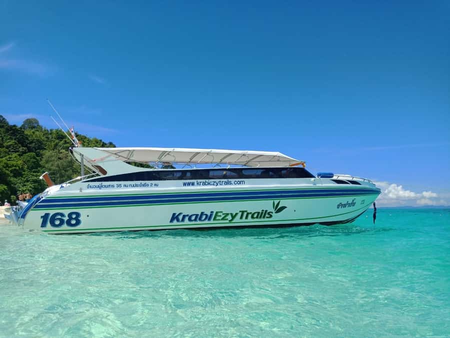 From Krabi: Phi Phi Early Bird & 4 Islands by Speedboat - Maya Bay and the rules that protect it