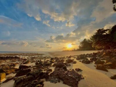Phi Phi Early Bird & 4 Islands by Speedboat