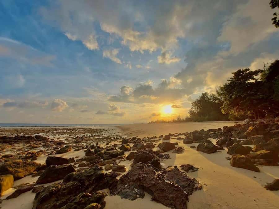 From Krabi: Phi Phi Early Bird & 4 Islands by Speedboat - The fast ride to Tup Island and the sandbar