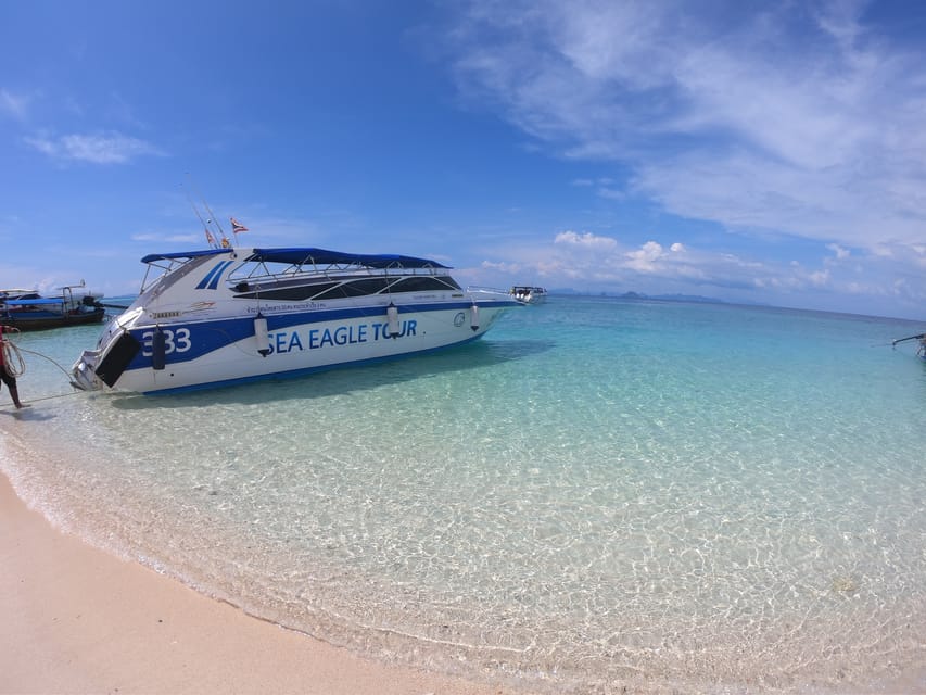From Krabi: Phi Phi Islands Speedboat Day Tour - What this Krabi to Phi Phi trip is really like