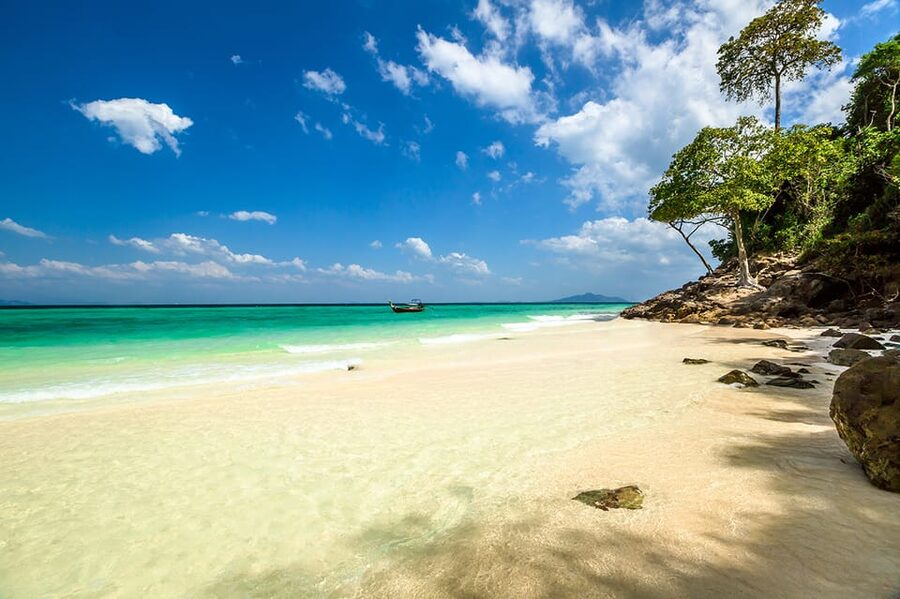 From Krabi: Phi Phi Islands Speedboat Day Tour - Maya Bay and the rules behind the beauty