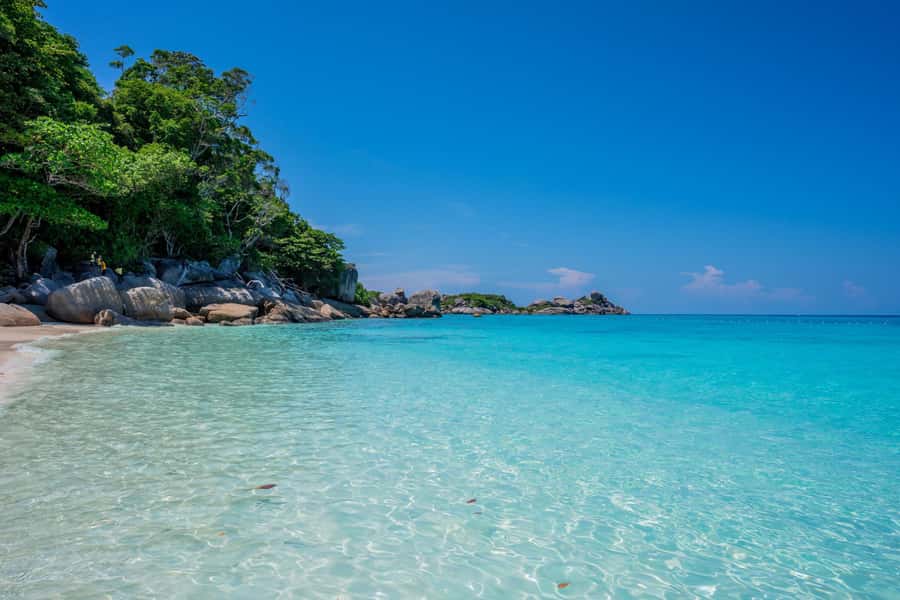 From Krabi: Similan Islands Day Trip by Speedboat - Guides, service, and the human side