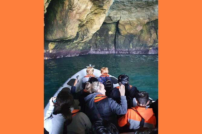 From Lagos: Benagil Caves Tour by Speed Boat with Guide - Who should book this trip