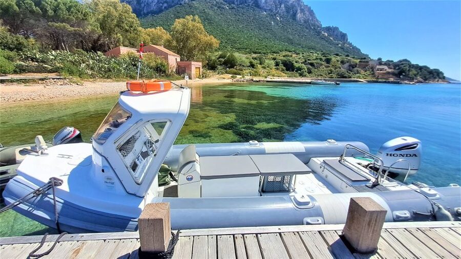 From Olbia: RIB Tour to Capo Figari with Dolphin Sighting - The boat, shade, and practical comfort