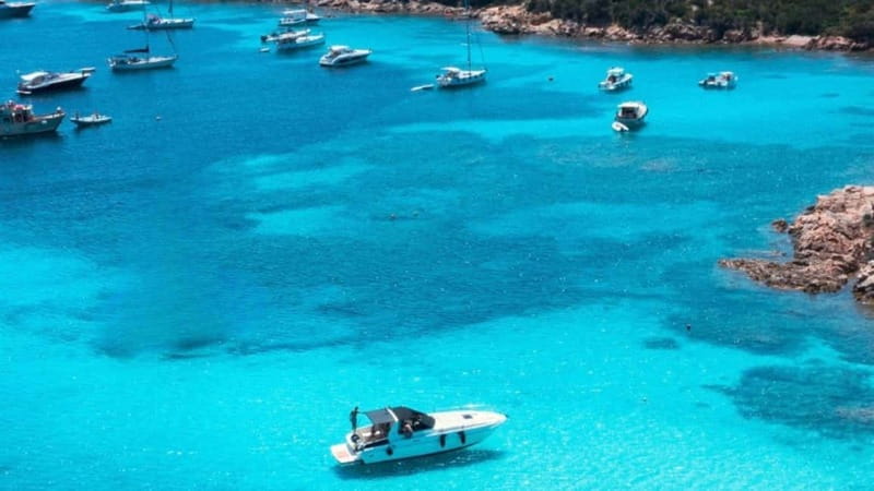 From Palau: Speedboat tour in La Maddalena Archipelago - Palau departure and the practical details