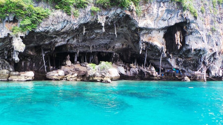From Phi Phi Don:Sunset and Plankton Snorkeling by Speedboat - Snorkeling with reef fish and blacktip sharks