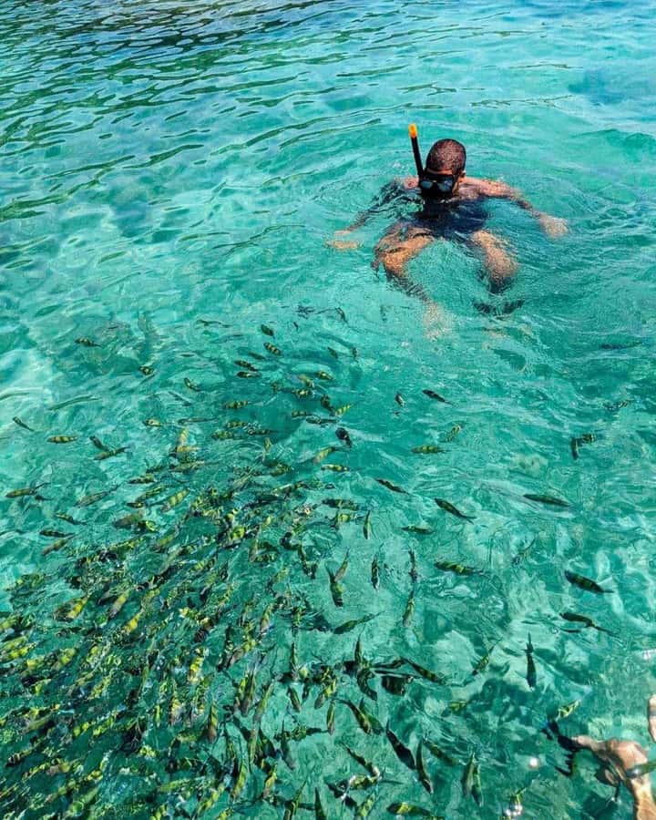 From Phi Phi Don:Sunset and Plankton Snorkeling by Speedboat - Sunset and glowing plankton