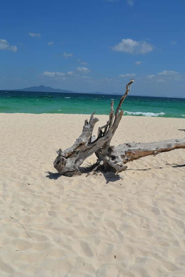 From Phi Phi : Full Day tour by Speed Boat with Lunch - Maya Bay: famous, beautiful, and crowded