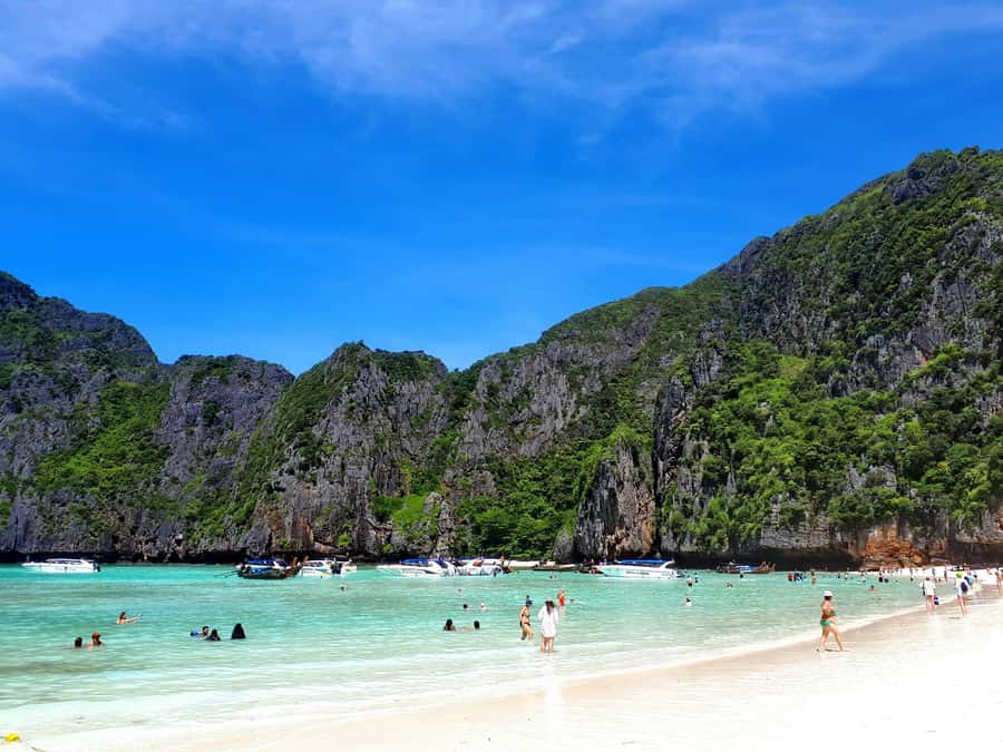 From Phi Phi : Full Day tour by Speed Boat with Lunch - Monkey Beach and its very confident residents
