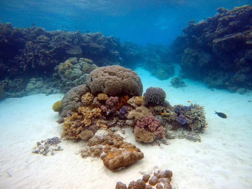 From Phi Phi : Maya Bay snorkeling trip by Speed Boat - What this Phi Phi speedboat trip is really like