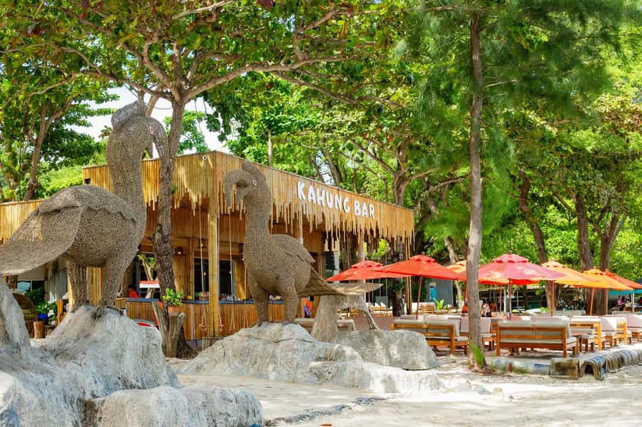 From Phuket: Coral Island Kahung Beach Speedboat Trip - Snorkeling over coral and fish