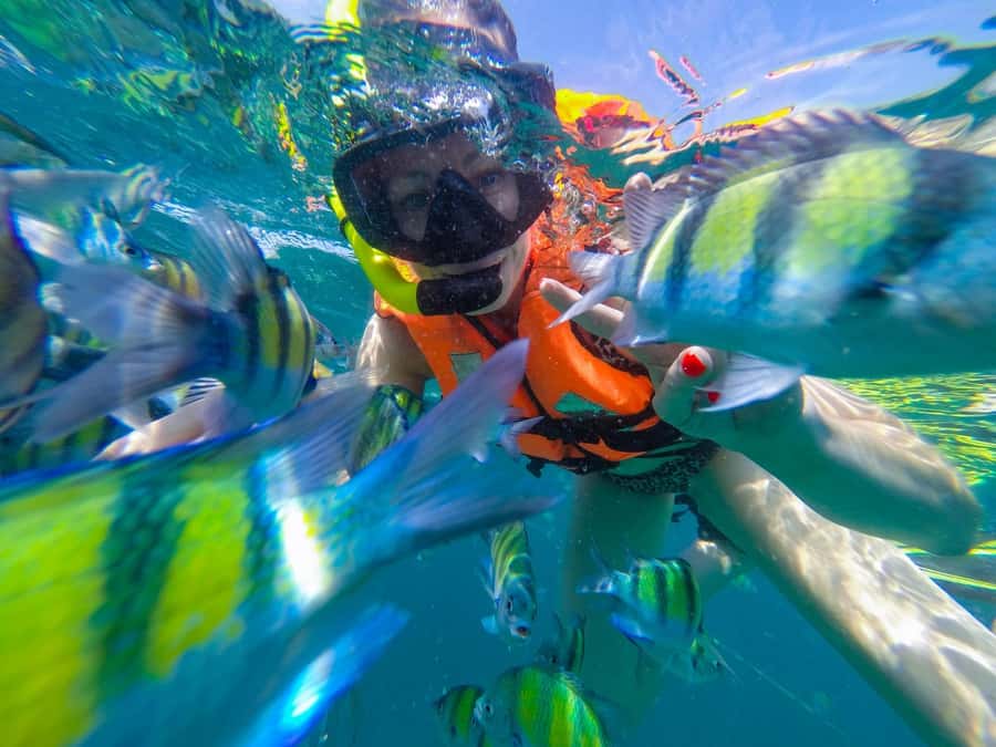 From Phuket: Phi Phi and Maya Bay Snorkeling by Speedboat - What $112 buys you on this Phi Phi day trip