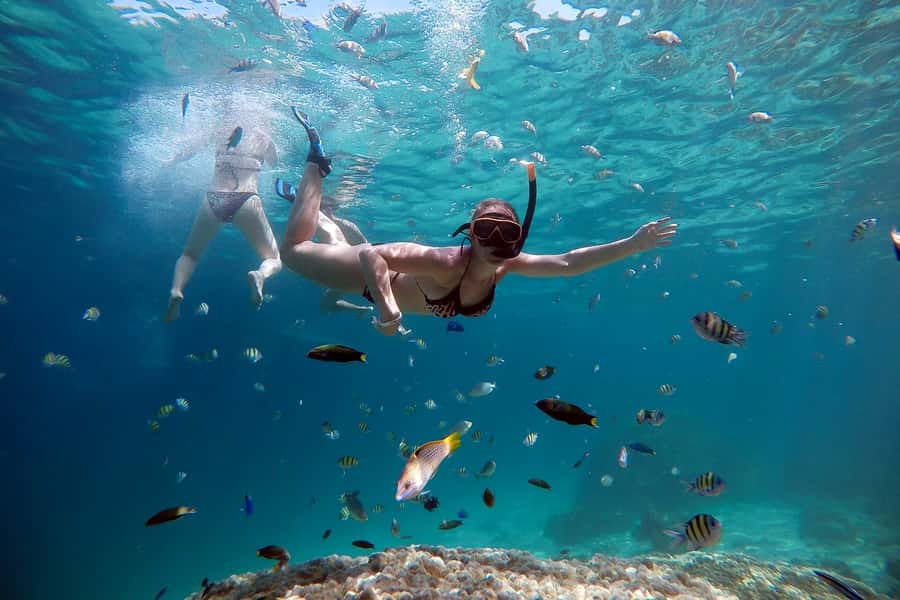 From Phuket: Phi Phi and Maya Bay Snorkeling by Speedboat - Monkey Beach, Camel Rock, and the first snorkeling stop