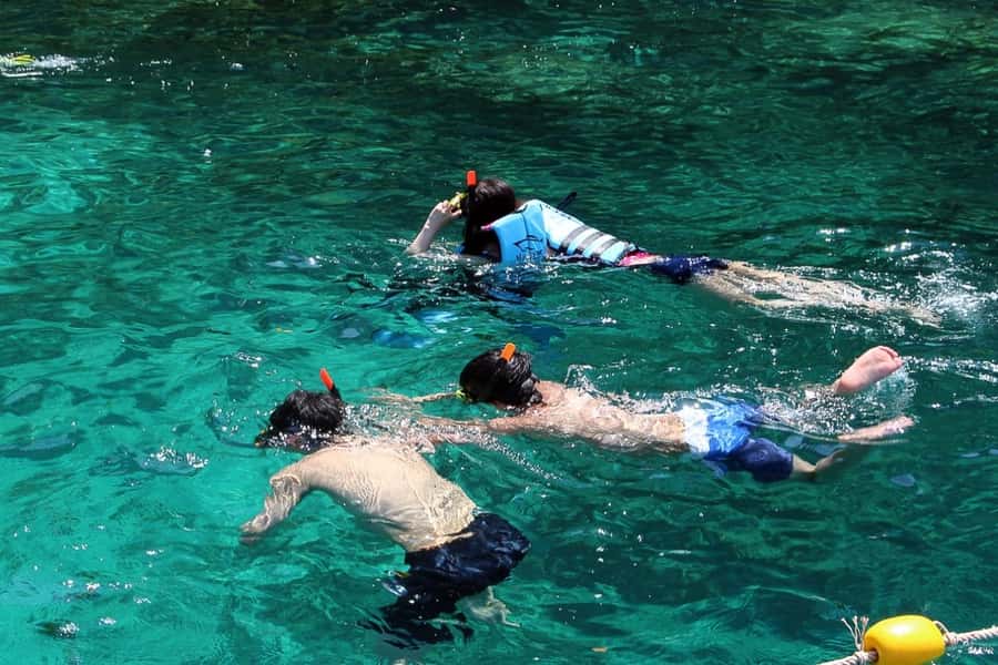 From Phuket: Phi Phi Island Private Full-Day Speedboat Trip - Why a private Phi Phi boat changes the day