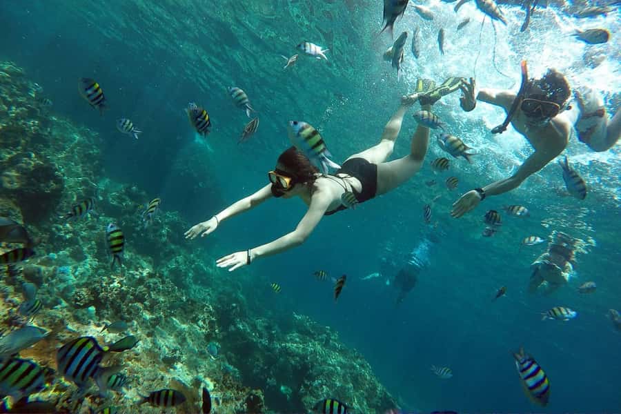 From Phuket: Phi Phi Island Private Full-Day Speedboat Trip - Monkey Beach and Nui Bay by water