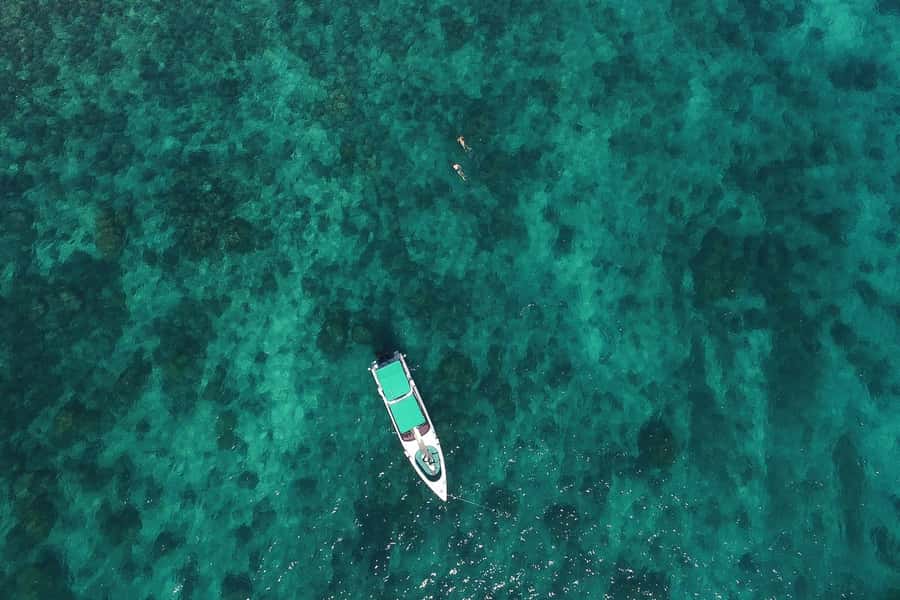 From Phuket: Phi Phi Island Private Full-Day Speedboat Trip - The 8 AM start and Royal Phuket Marina