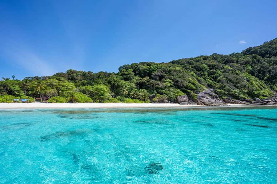 From Phuket: Similan Islands Snorkeling Trip by Speedboat - Crowds, comfort, and the pace of the day