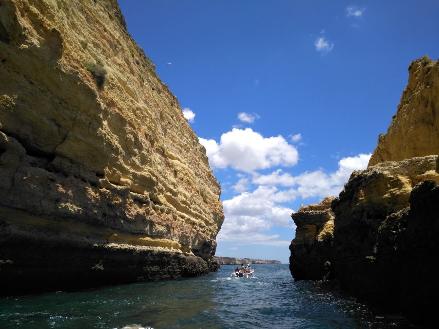 From Portimão: Benagil Caves Guided Speedboat Tour - Speed, photo stops, and a possible swim break