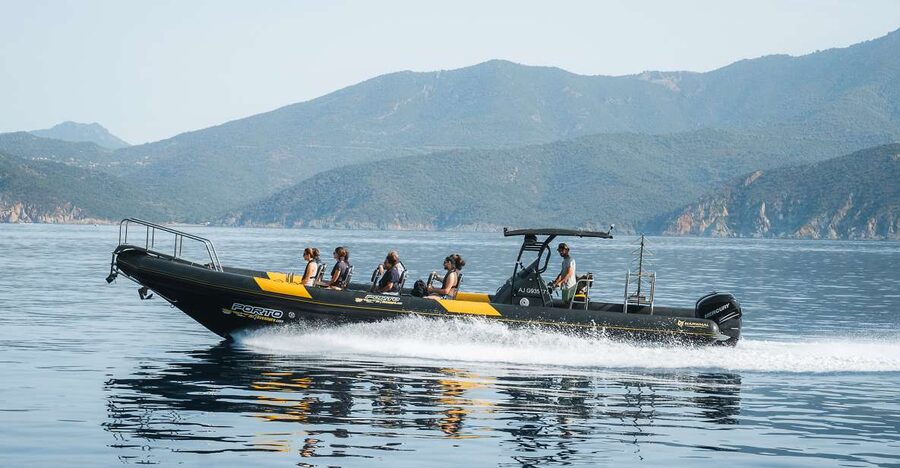 From Porto: Piana Creeks and Scandola Semi-Rigid Boat Tour - Key points to know before you book