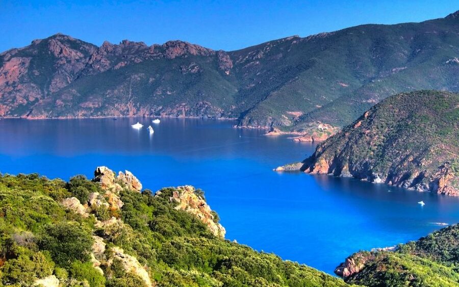 From Porto: Piana Creeks and Scandola Semi-Rigid Boat Tour - Piana’s coves and sea-level rock formations