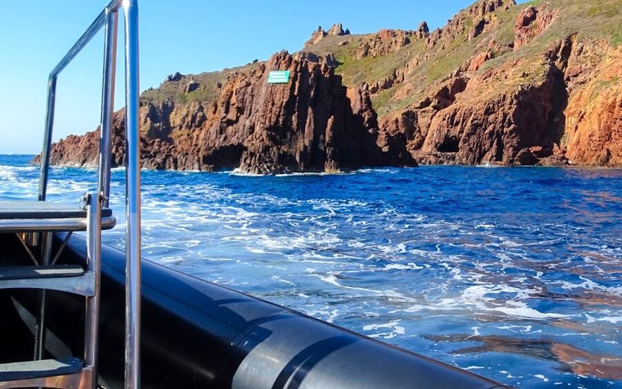 From Porto: Piana Creeks and Scandola Semi-Rigid Boat Tour - Swimming, snorkeling, and marine life