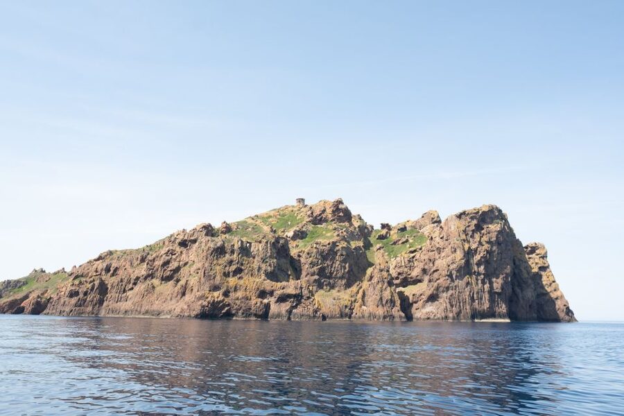 From Porto: Piana Creeks and Scandola Semi-Rigid Boat Tour - The guides and the French-language setting