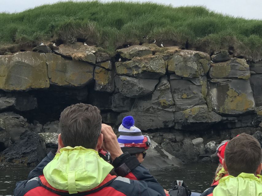 From Reykjavik: Whale Watching Tour by Speedboat - Who should choose this speedboat trip?