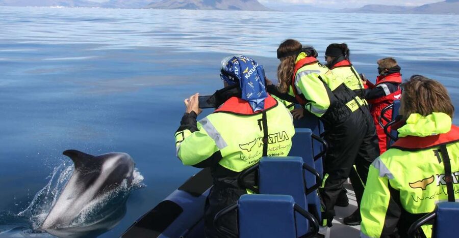 From Reykjavik: Whale Watching Tour by Speedboat - Harpa and the Sun Voyager from the water