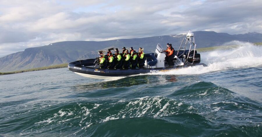 From Reykjavik: Whale Watching Tour by Speedboat - Puffin islands and seabird watching