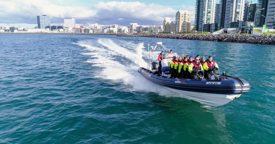 From Reykjavik: Whale Watching Tour by Speedboat - Starting at Reykjavik Old Harbour