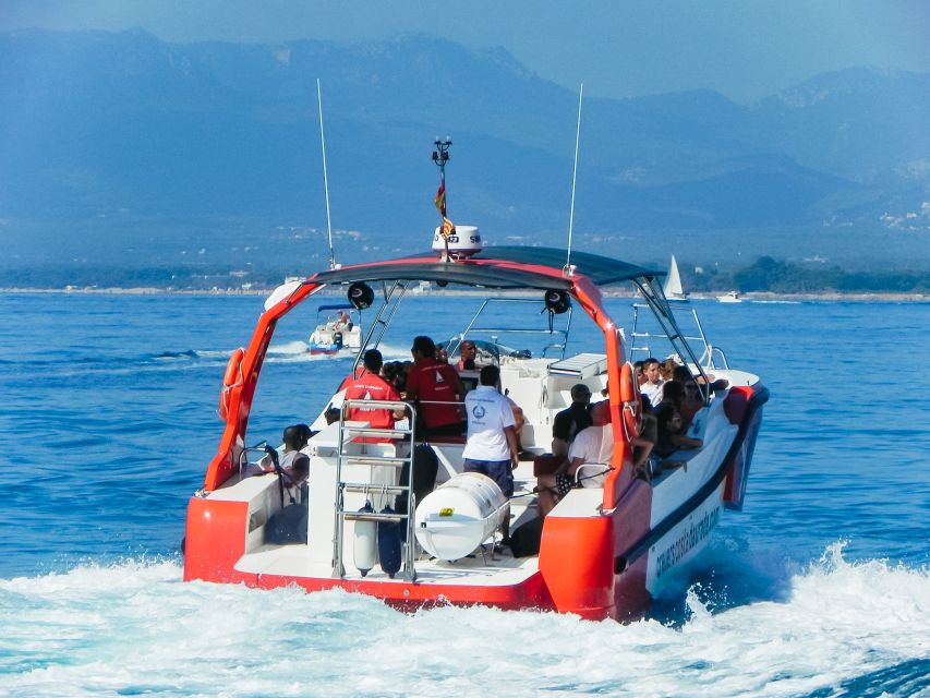 From Salou/Cambrils: Speedboat Tour - Key points to know before you book