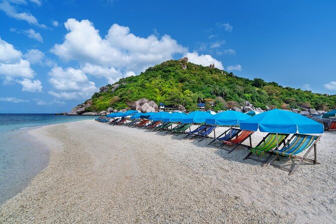From Samui: Ko Tao and Koh Nang Yuan Speedboat Day Trip - Comfort, swimming demands, and what to pack