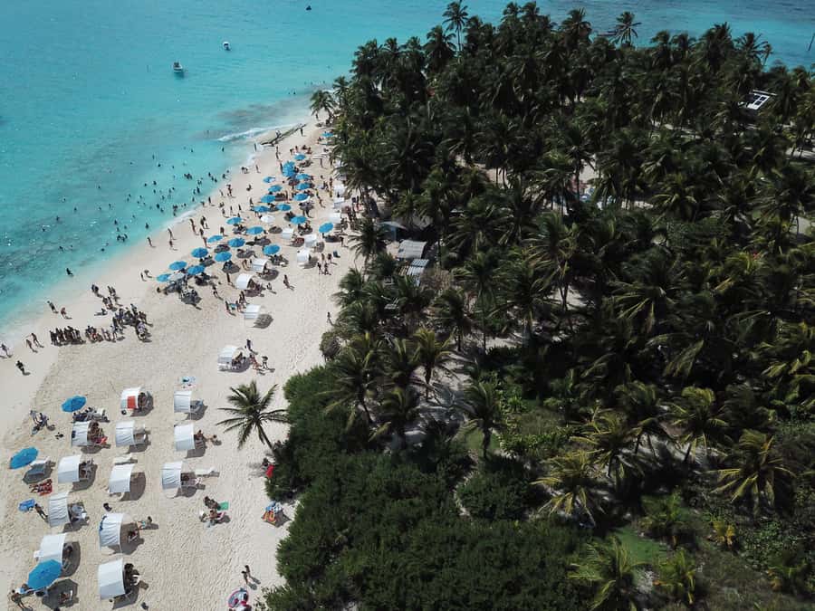 From San Andrés: Speedboat Tour to Johnny Cay Island - Johnny Cay gives you a simple island day