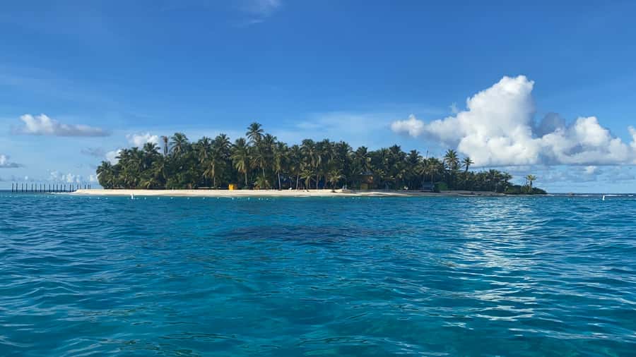 From San Andrés: Speedboat Tour to Johnny Cay Island - A short speedboat crossing to the key