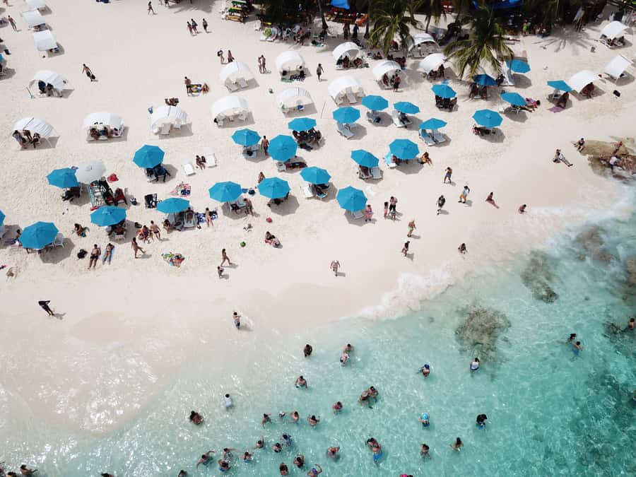 From San Andrés: Speedboat Tour to Johnny Cay Island - Marine life, snorkeling, and what you actually receive