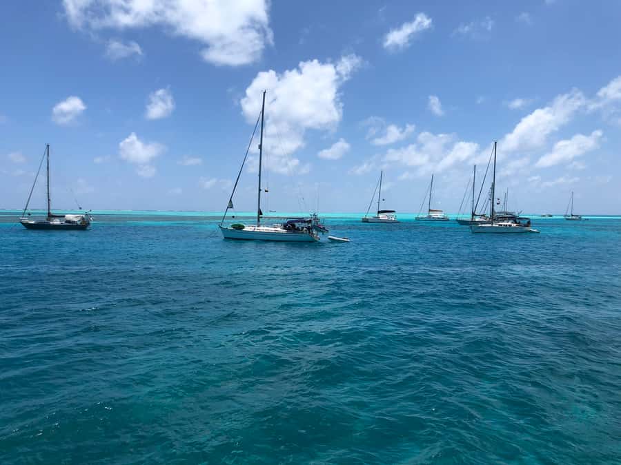 From San Andrés: Speedboat Tour to Johnny Cay Island - The island’s commercial side