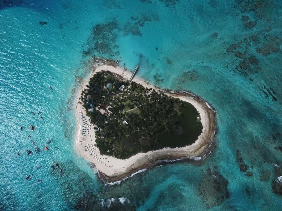 From San Andrés: Speedboat Tour to Johnny Cay Island - Meeting in central San Andrés