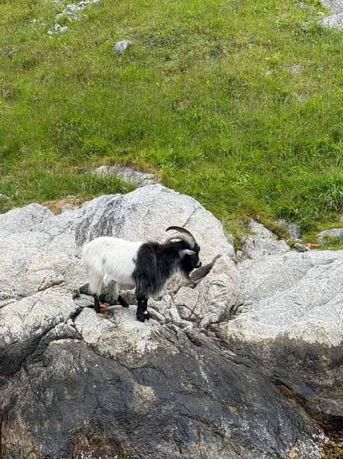 From Stavanger: Lysefjorden & Pulpit Rock Safari by RIB - The first 30 minutes: speed out from Stavanger