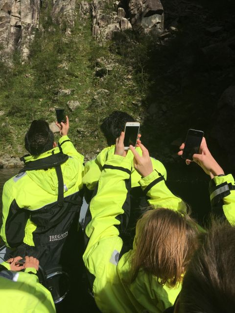 From Stavanger: RIB Tour to Lysefjord - Wildlife depends on timing and luck
