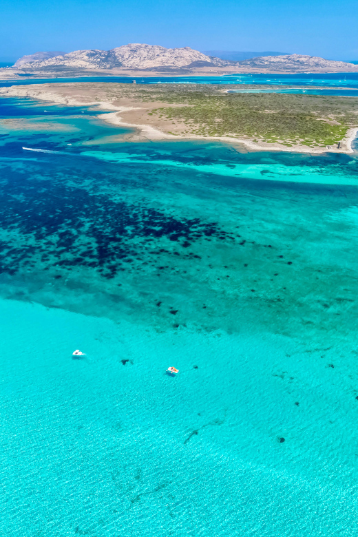 From Stintino: Half-Day Speedboat Tour to Asinara - Leaving Stintino from Porto Mannu
