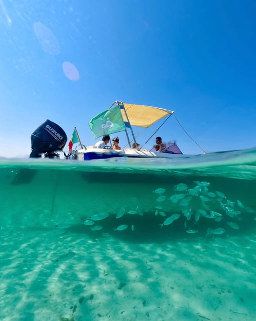 From Stintino: Half-Day Speedboat Tour to Asinara - Isola Piana and the snorkeling hour
