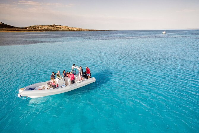 From Stintino: RIB tour in the gulf of Asinara - Key points at a glance