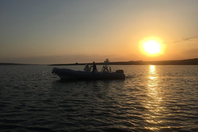 From Stintino: RIB tour in the gulf of Asinara - Leaving Stintino for the Gulf of Asinara