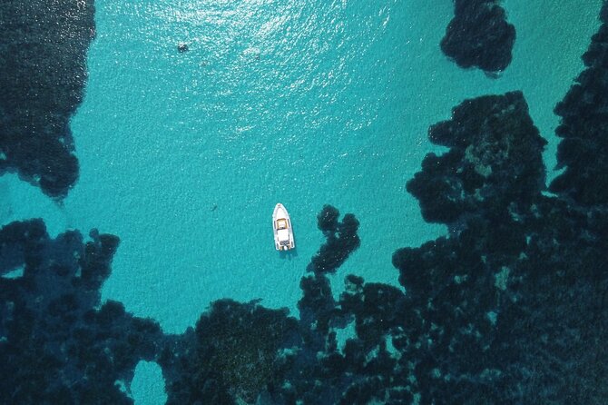 From Stintino: RIB tour in the gulf of Asinara - What the skipper adds to a short outing