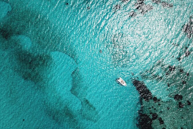 From Stintino: RIB tour in the gulf of Asinara - Three hours on the water: how the timing works