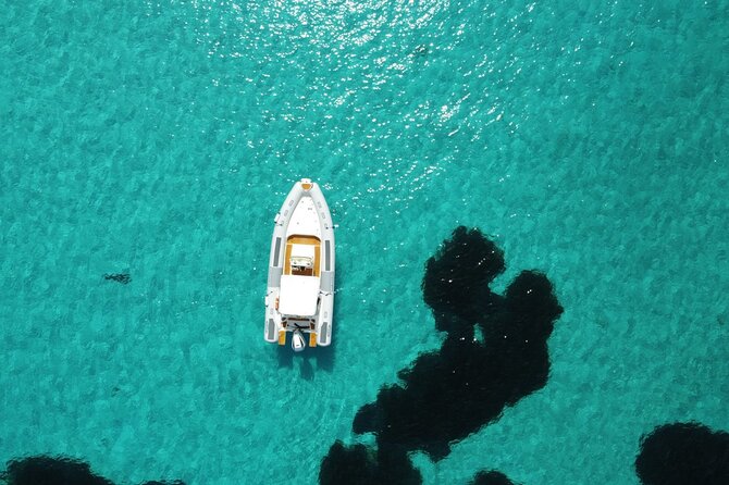 From Stintino: RIB tour in the gulf of Asinara - What the $60.46 price really buys