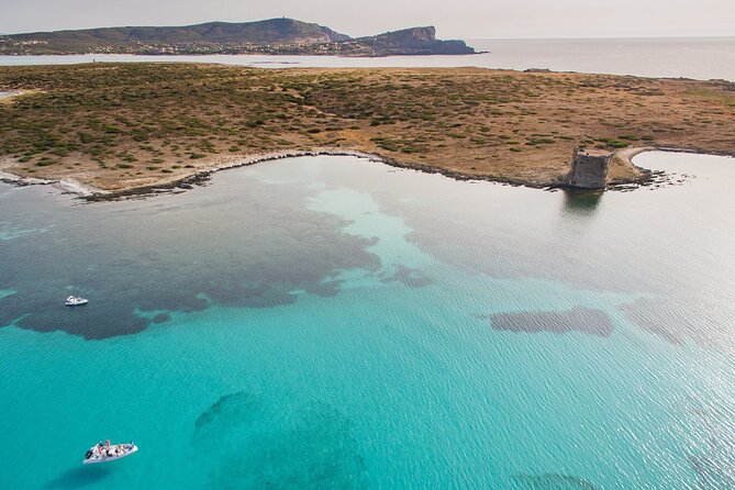 From Stintino: RIB tour in the gulf of Asinara - Cala Grande and the clear water of Asinara